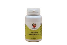 NGD Care Liposomale paddenstoelenmix 1 - 60 caps