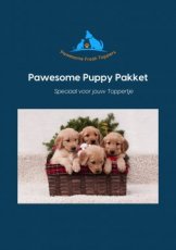 Pawesome Puppy Box